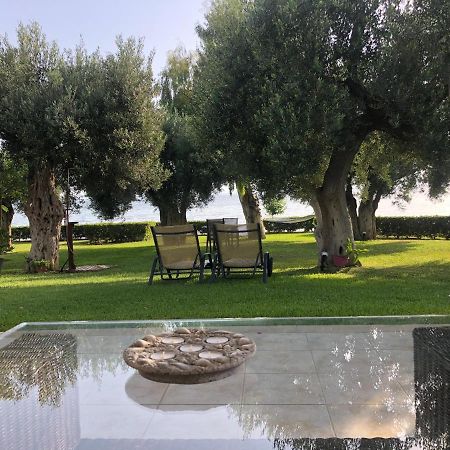 Villa Anemi Nea Skioni Eksteriør billede